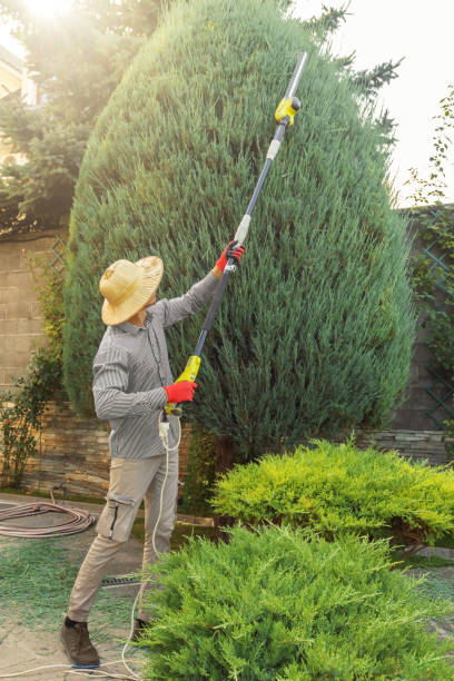 Best Lawn Maintenance Plans  in Ocean Ridge, FL