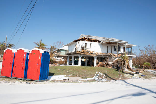 How Our Tree Care Process Works  in  Ocean Ridge, FL